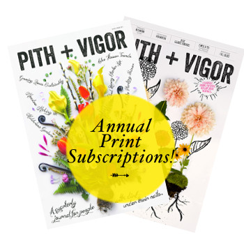 pv ad in website