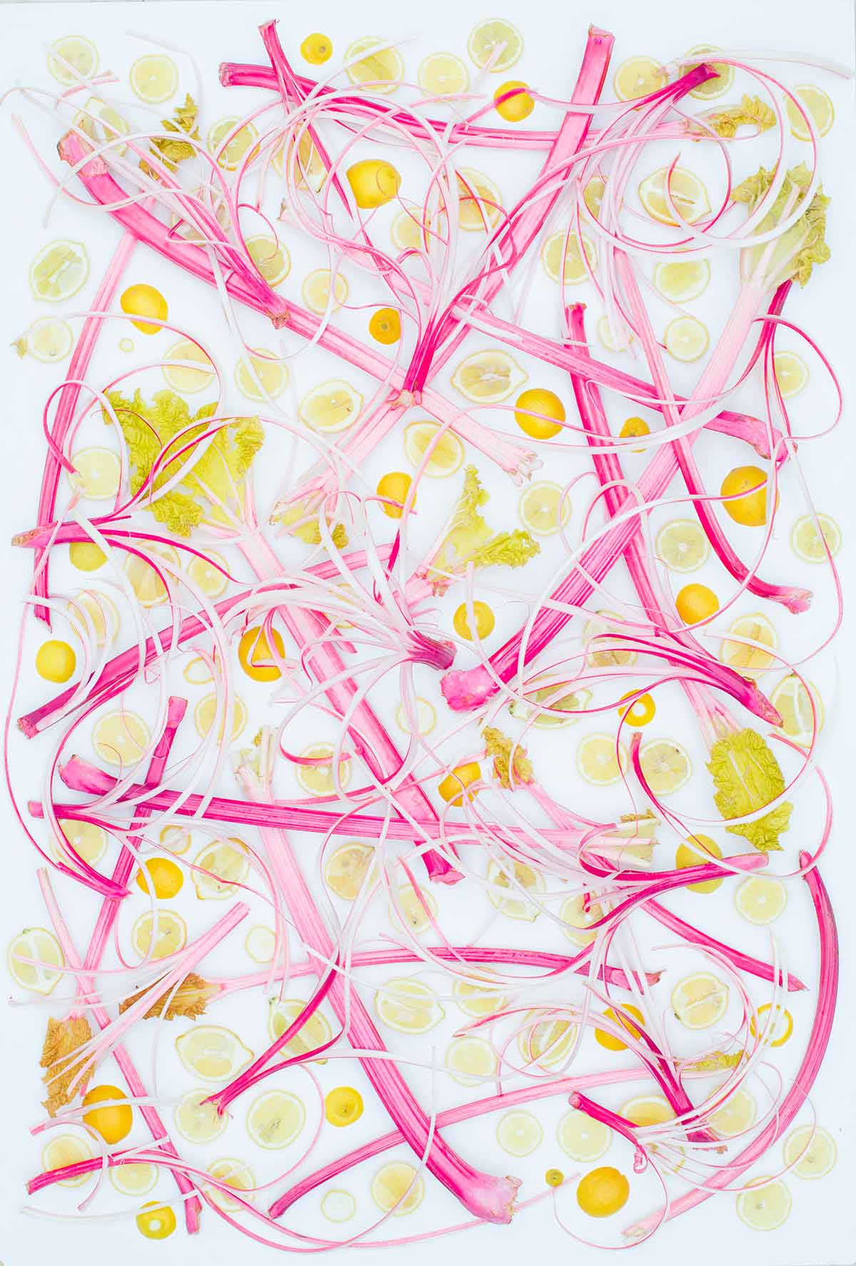 Rhubarb Cocktails by Joy Flanagan - Image by amber Locke