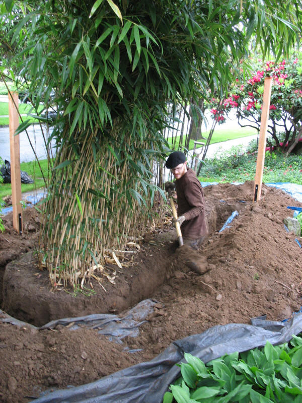 how to install a bamboo root barrier