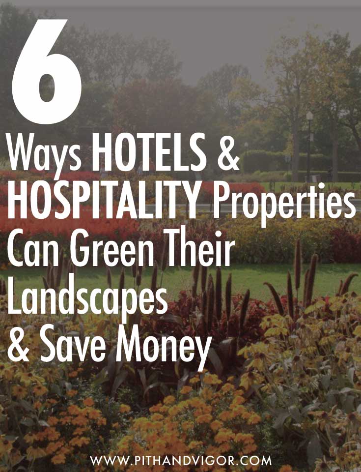 6 ways hotels and restaurants can green their landscapes and save money