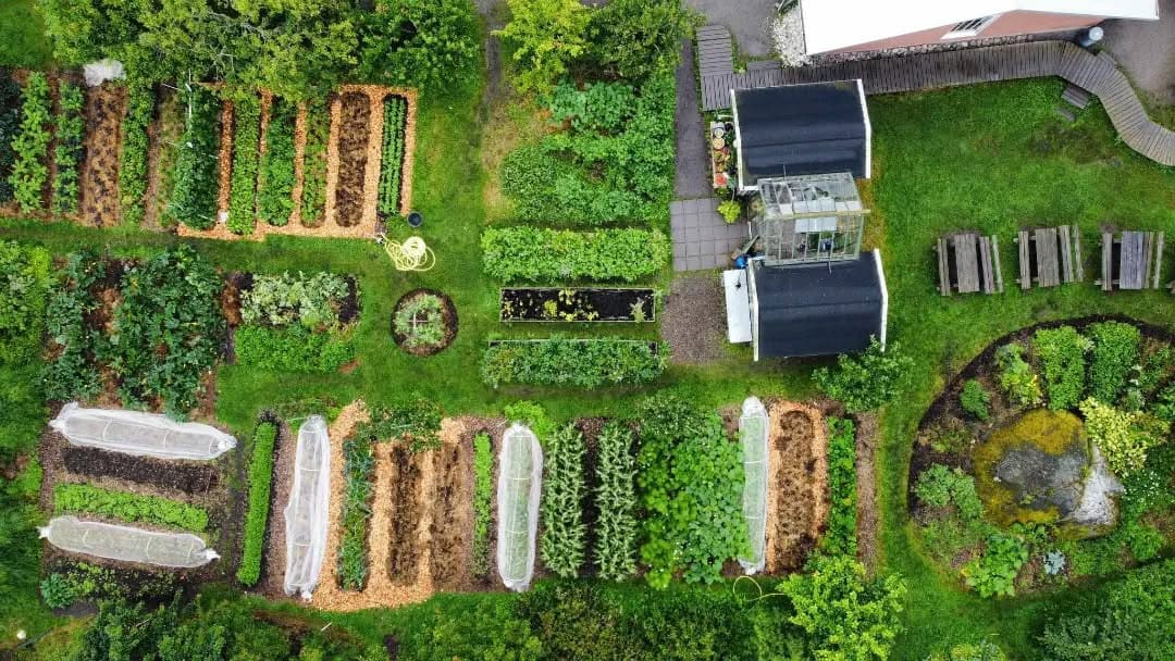 From an aerial view, the lush garden near Vann Hotel Sweden showcases vegetable beds in parallel rows. A small greenhouse and a circular garden area complement the scene, while a hose lies coiled on the grass beside picnic tables and a scenic pathway.