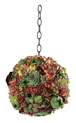 A hanging succulent planter hanging from a chain.
