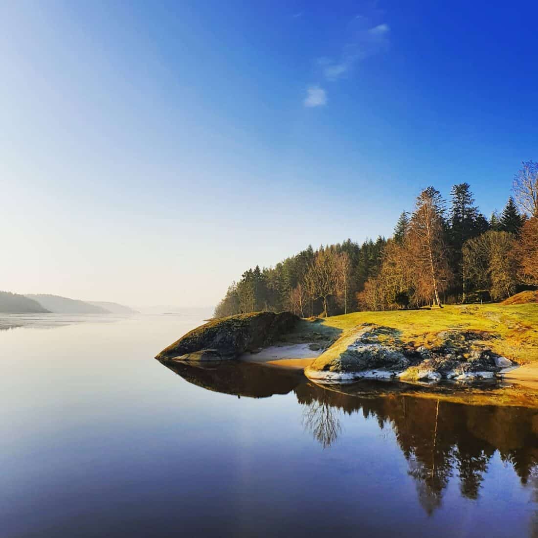 A serene lakeside scene near Vann Hotel Sweden features calm water reflecting a clear blue sky and a small, tree-covered island. The landscape is bathed in soft sunlight, creating a peaceful and inviting atmosphere.