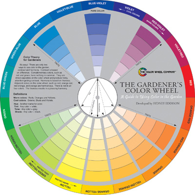 Color Wheels | PITH + VIGOR by Rochelle Greayer