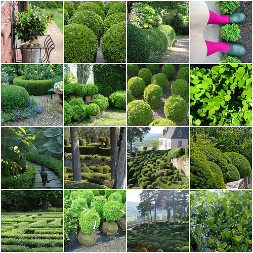 A collage of pictures of topiary gardens.