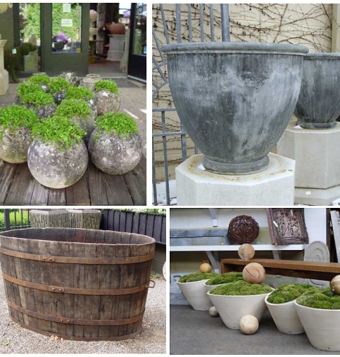 A collage of pictures of pots and barrels with moss in them.