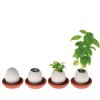A set of egg planters with a plant in the middle.