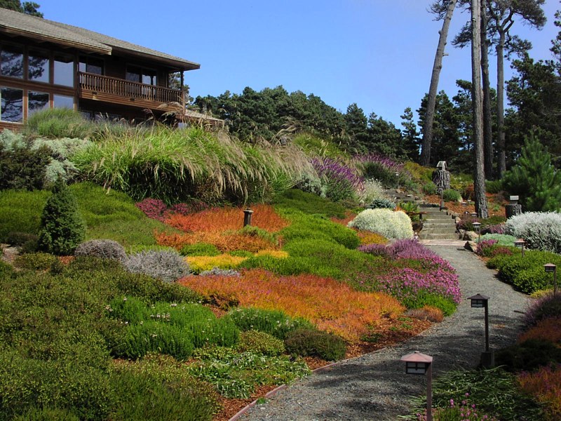 A colorful garden with a path leading to a house.
