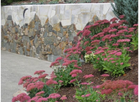 A stone wall with pink flowers in front of it.