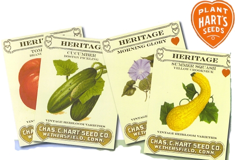 Plant hardy heritage seed packets.