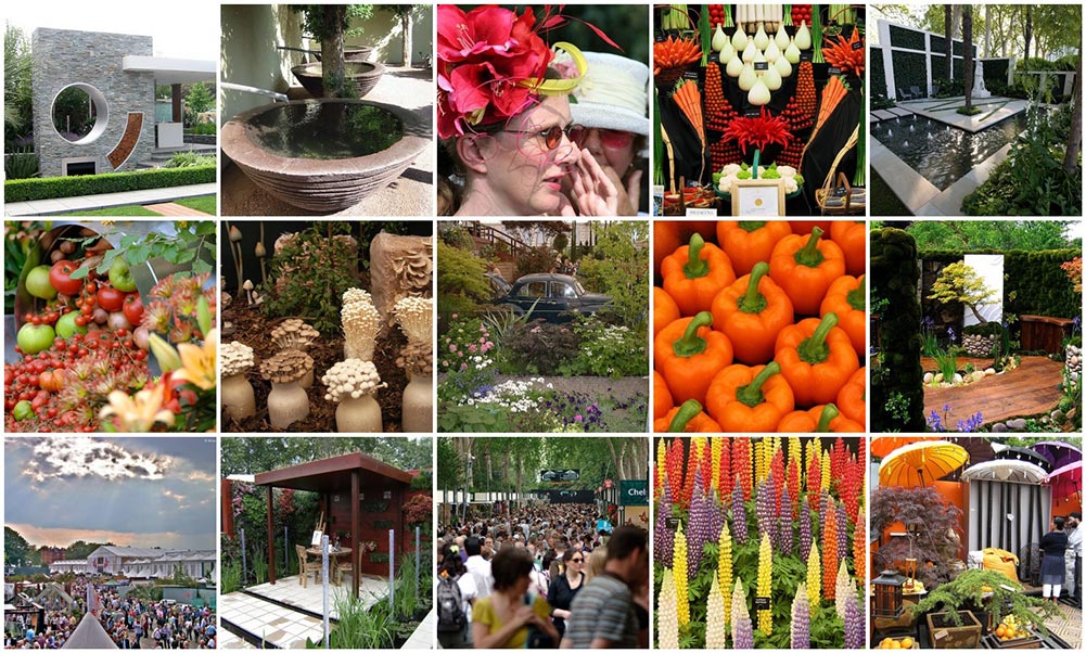 Images from Chelsea flower show 2009