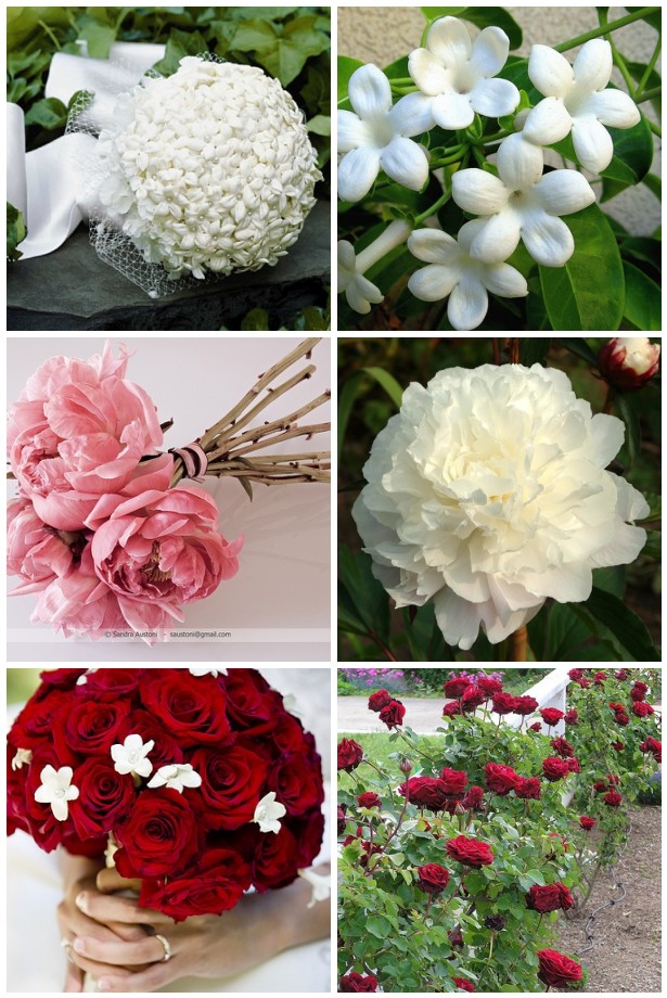traditional wedding flowers that you can grow your own red roses peonies