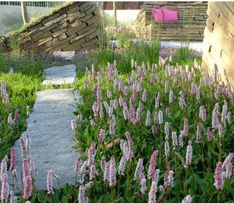 A garden with pink flowers and a stone path.