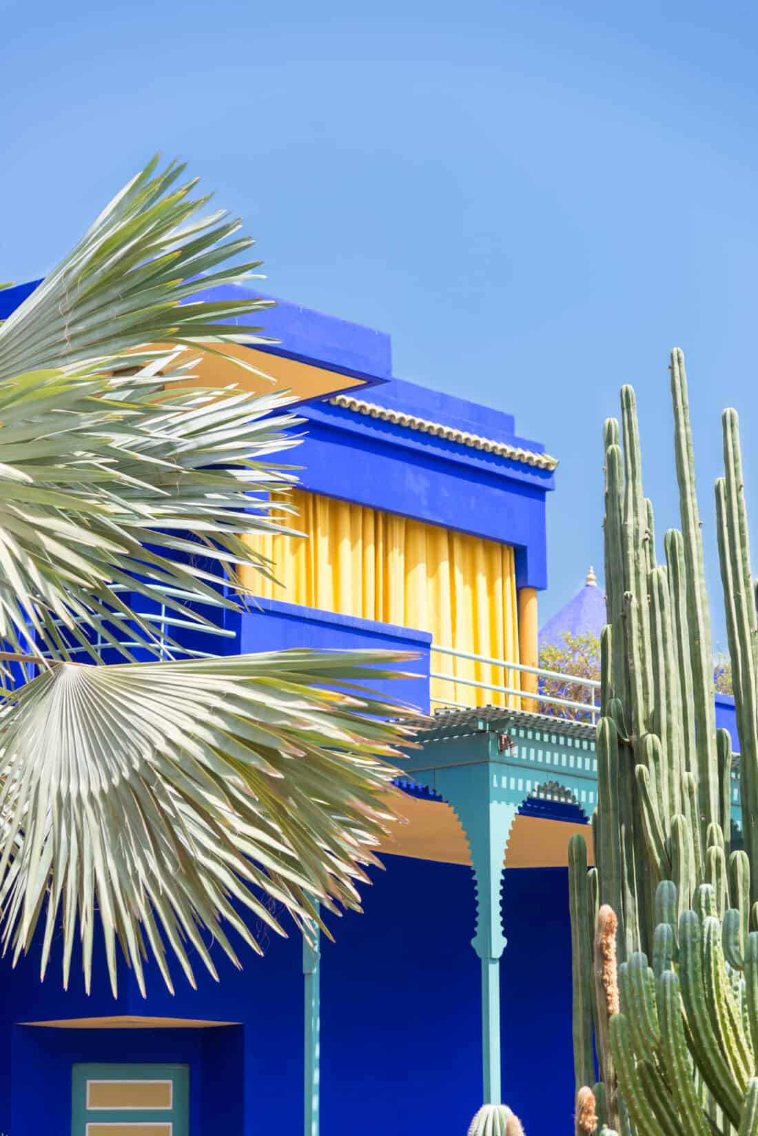 Vibrant blue building with yellow accents in Majorelle Garden behind palm leaves and cacti under a clear sky.