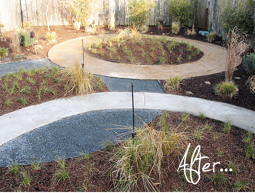 using the existing circle paving in a new xeric garden
