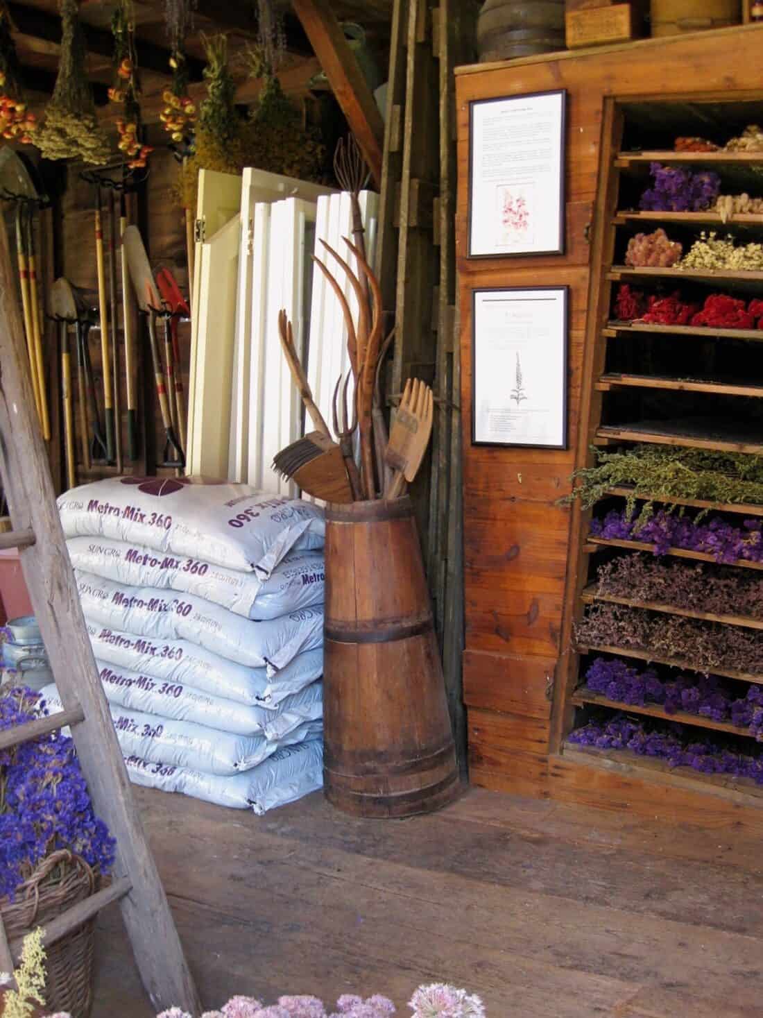 A rustic flower drying shed in Carlisle, MA, features stacks of potting soil bags and dried herbs and flowers on shelves. A wooden barrel contains various garden tools, while framed botanical prints hang on the wall.