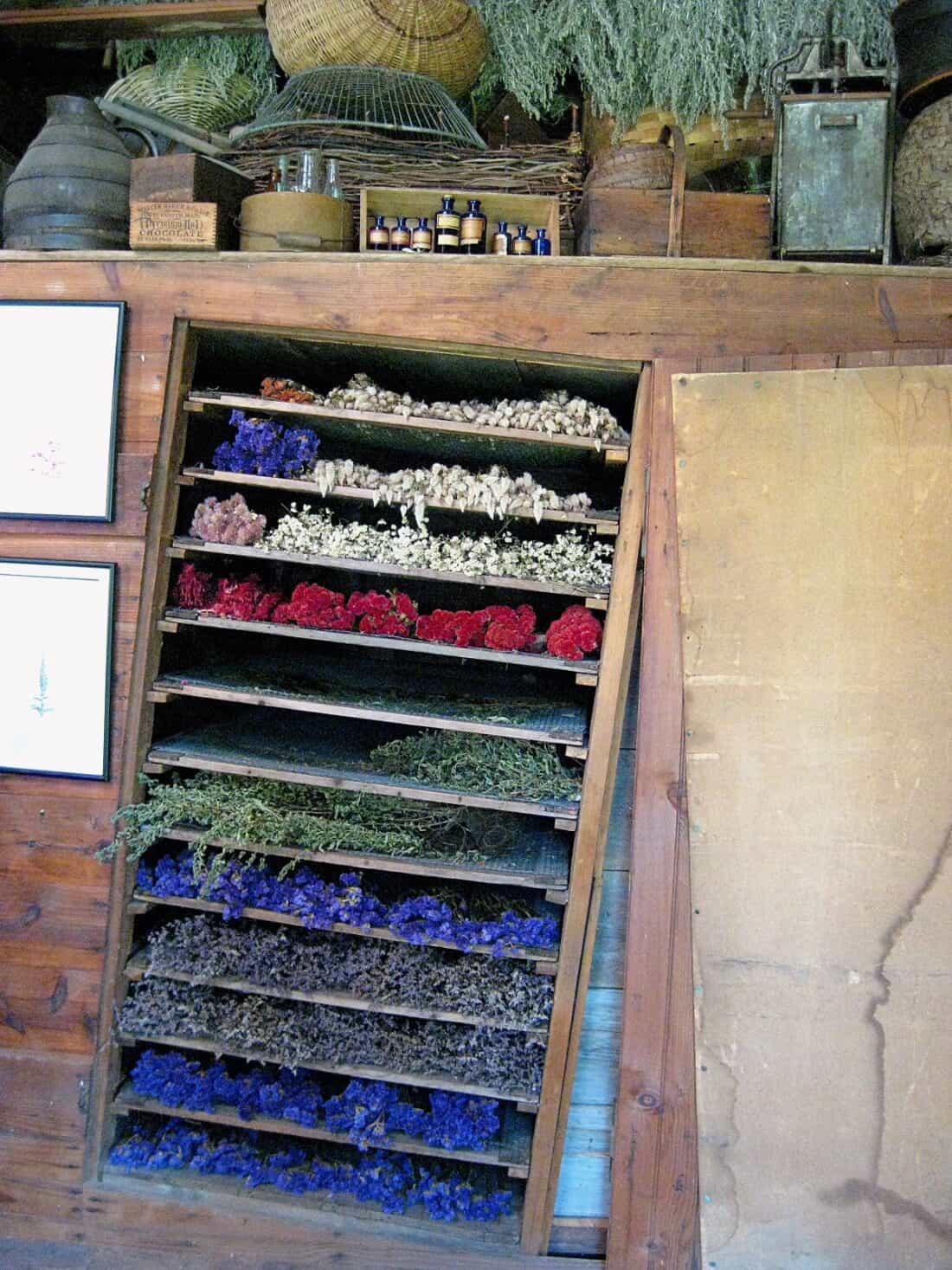 A rustic wooden drying rack, reminiscent of Carlisle MA's charming Clock Barn, showcases colorful dried flowers in shades of purple, red, and white. Above, vintage items and bundled herbs dangle from the ceiling, enhancing the cozy, old-fashioned atmosphere.