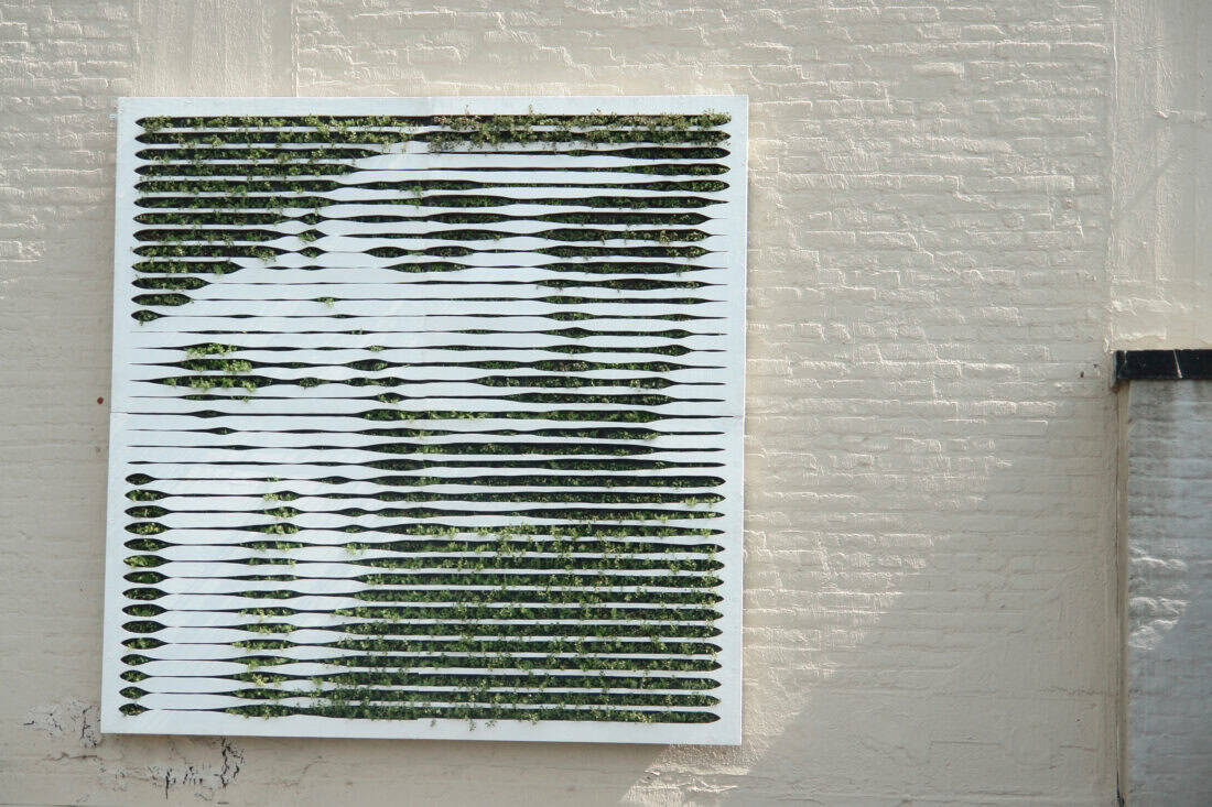 A piece of wall art by Edina Todoki on a beige brick wall features horizontal slats with green foliage peeking through, forming an abstract pattern, reminiscent of Vertical Garden Art.