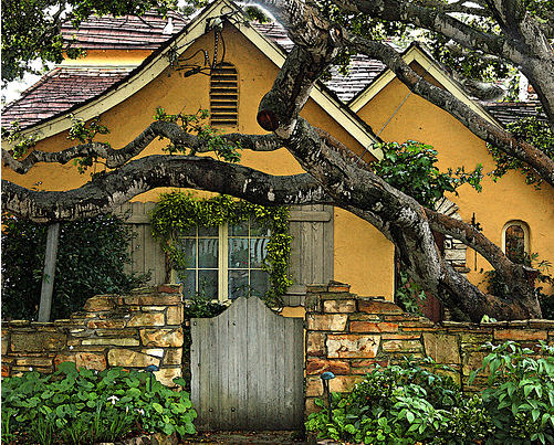 carmel california cottage garden inspiration