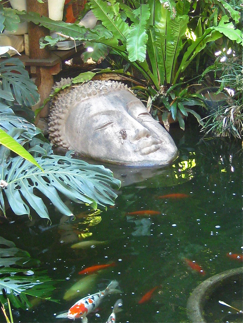 submersed buddah in the thomas schoos garden in los angeles west hollywood california