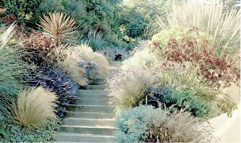 Elysian landscapes steps souther california los angeles garden