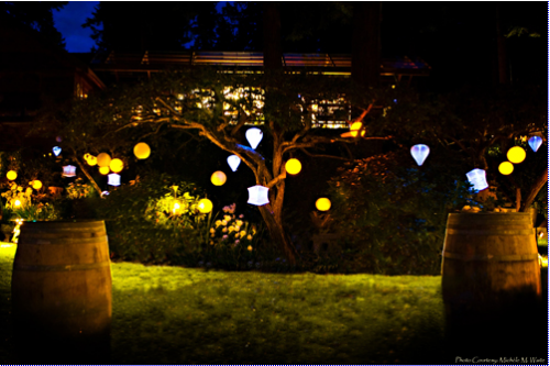 Lighted lanterns in a garden at night.