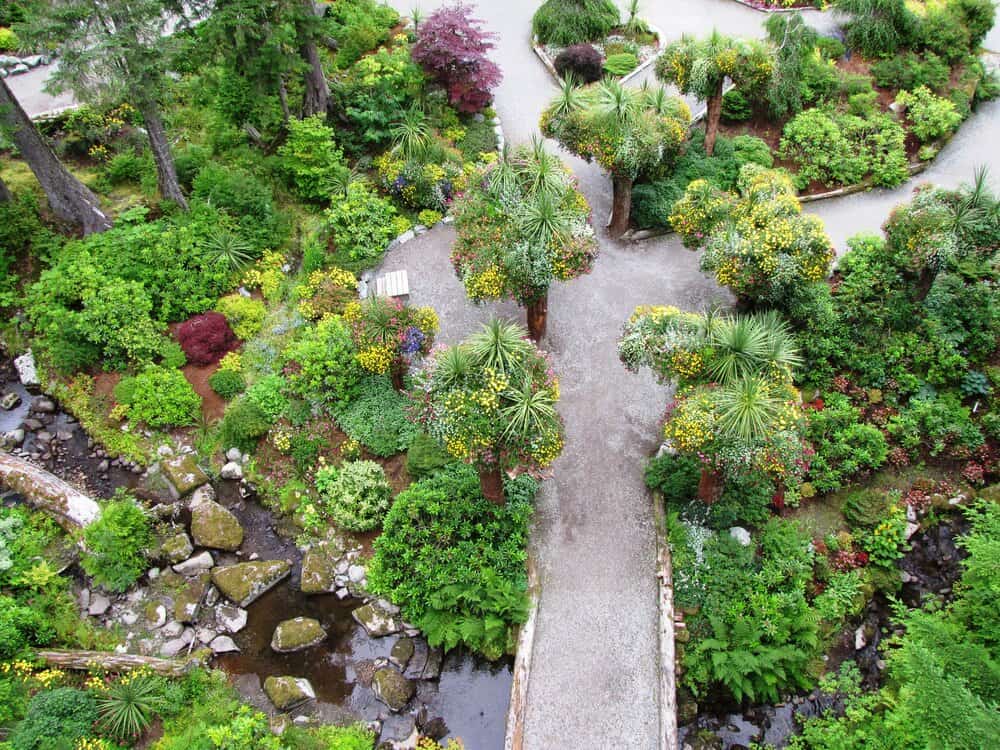 Aerial view of Steve & Cindy's lush, landscaped garden reminiscent of an Alaskan Glacier Rainforest, featuring winding gravel paths, various green plants, trees, and vibrant flowers. A small stream flows through the scene with rocks gracefully lining its banks.