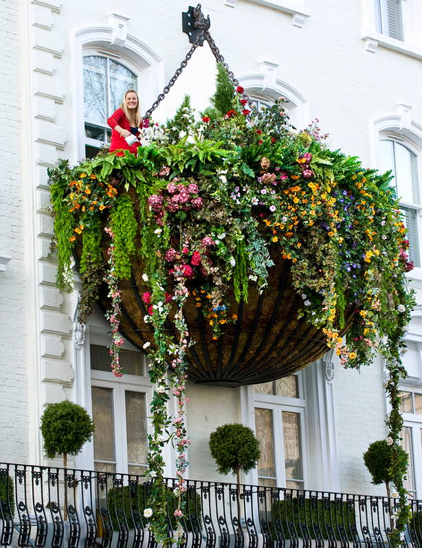 hotel indigo giant hanging bakset planter paddington london garden via www.pithandvigor.com