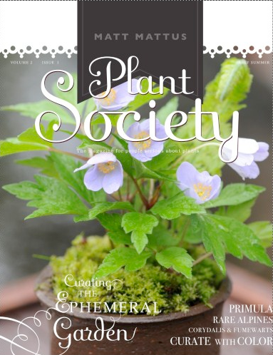 plant society cover by matt mattus via www.pithandvigor.com