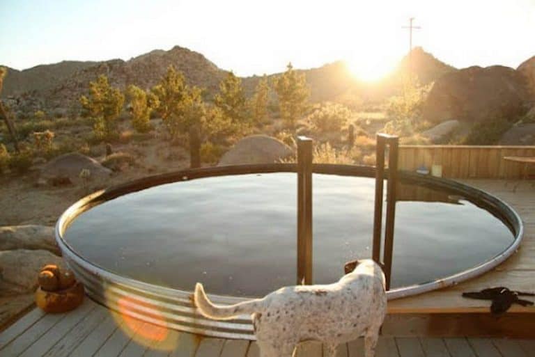 A large metal stock tank pool filled with water sits on a wooden deck in the serene desert landscape of Joshua Tree at sunset. A white and black-spotted dog stands near the edge, peering into the tub. Rocky hills and scattered trees paint the background beautifully.