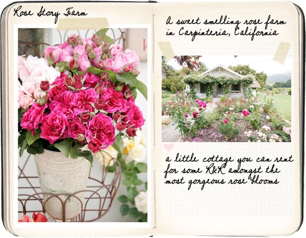 An open notebook features a left page with a bouquet of vibrant pink roses in a white vase labeled "Rose Story Farm." The right page showcases a charming cottage enveloped by gardens, highlighting it as one of the premier garden destinations, Rose Story Farm in Carpinteria, California, available for rent.