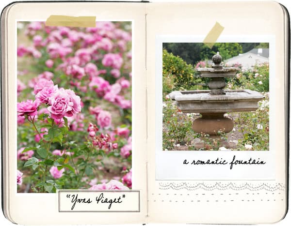 An open journal displays two photos. The left page shows vibrant pink roses labeled "Yves Piaget" from Rose Story Farm, while the right page features a classic stone fountain described as "a romantic fountain," both accented with decorative tape and lace details.