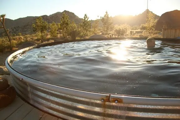 A person relaxes in a large, round stock tank pool outdoors. The sun sets, casting a warm glow over the Joshua Tree desert landscape with its trees and rocky hills, creating a serene garden of nature's beauty.