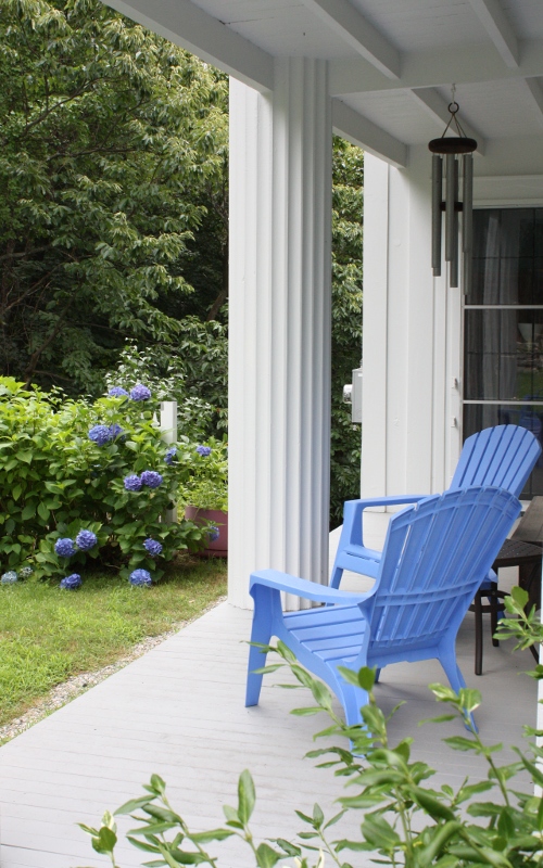 bluehydrangea and blue garden chairs