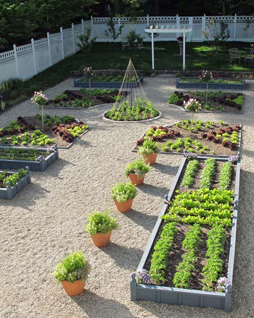vegetable garden by susan cohan garden design