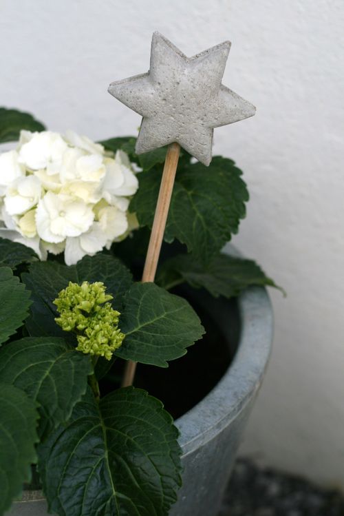star shaped concrete plant garden ornament