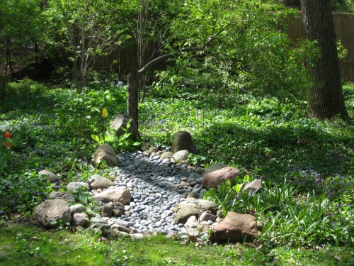 dry stream garden douglas owens pike minnesota