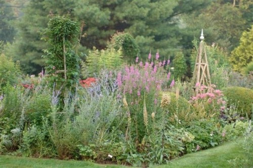garden of gerard pampalone