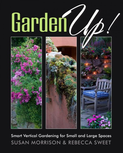 garden up book cover rebecca sweet