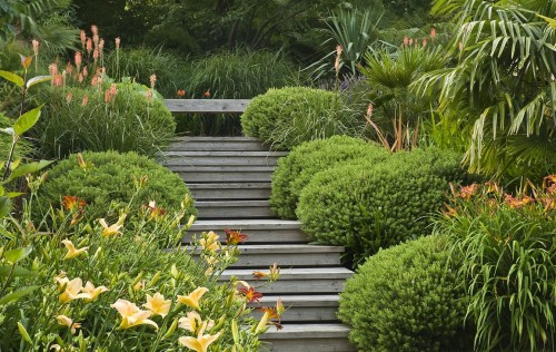 acres wild form and fliage garden wooden steps hebes