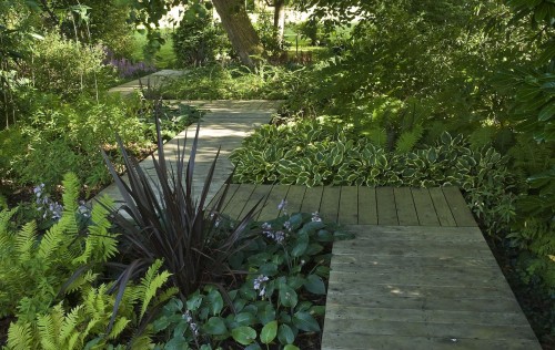 boardwalk path through garden