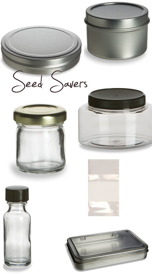 seed jar container roundup