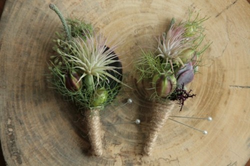 floral bouquet airplant boutineer