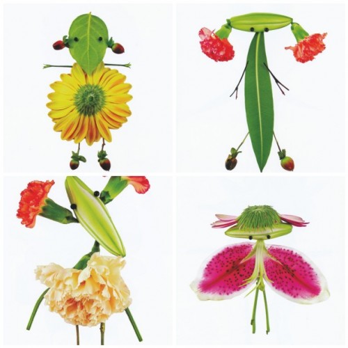 blossom buddies book characters