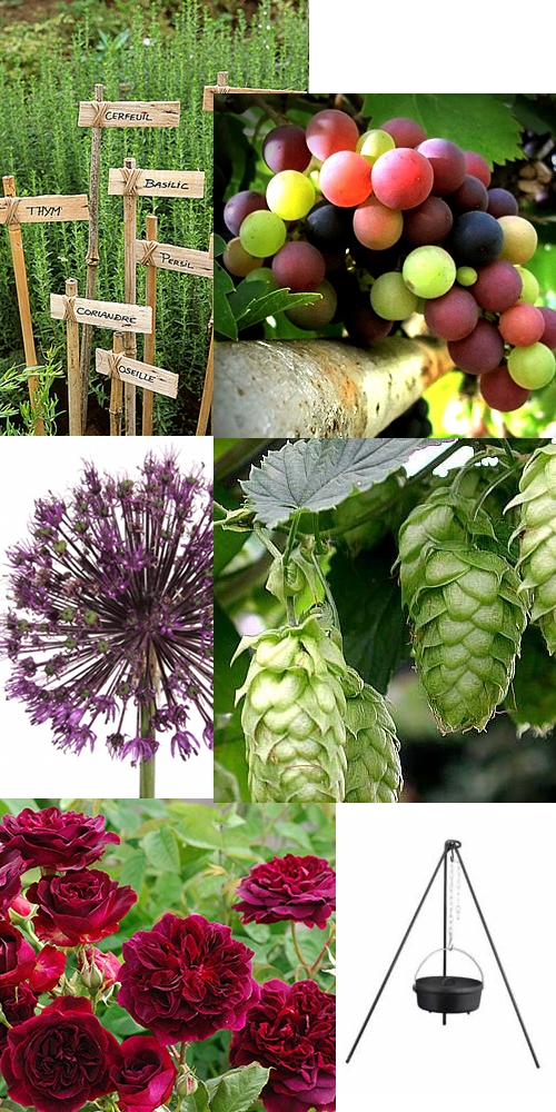 plant inspirations for 2011 garden