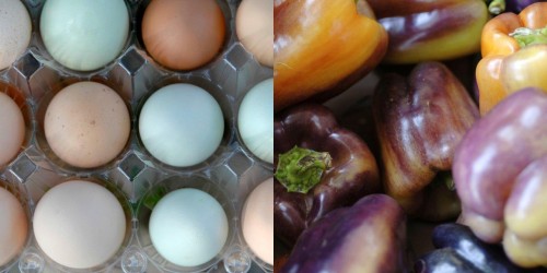 eggs and peppers grow image spread