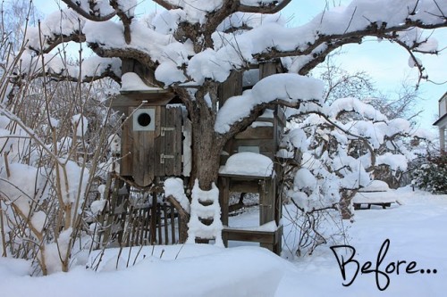 before and after winter summer treehouse