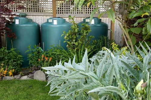 water butts in the garden rain collection system