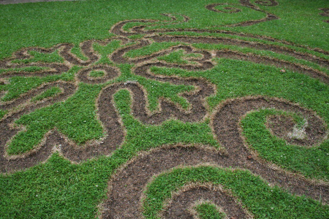 A green grass field with intricate, curving patterns created by Cal Lane's signature trimming or removing sections of grass, exposing the soil underneath. The patterns resemble abstract, floral-like designs.