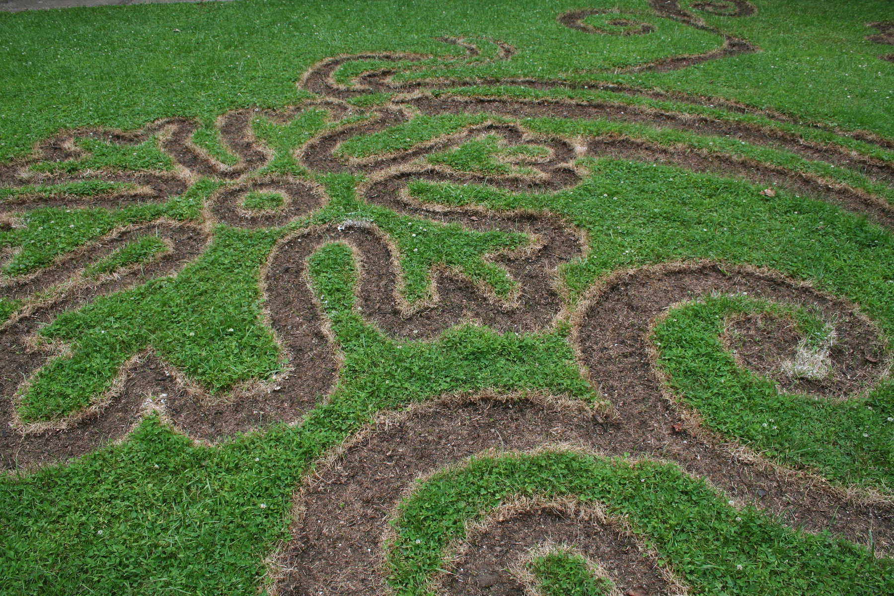 A green grass field with intricate, curving patterns created by Cal Lane's signature trimming or removing sections of grass, exposing the soil underneath. The patterns resemble abstract, floral-like designs.